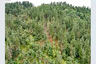 0 Silver Creek Canyon, Silverton, OR 97381 - Photo 9