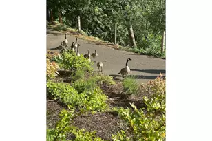 5110 S Landing Dr, Portland, OR 97239 - Photo 43