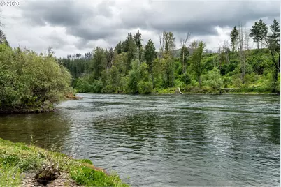 45542 S Gate Creek Rd, Vida, OR 97488 - Photo 19
