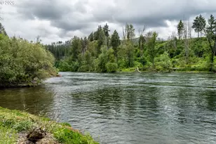 45542 S Gate Creek Rd, Vida, OR 97488 - Photo 19