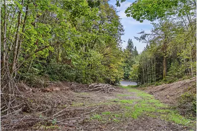 E State Route 4, Cathlamet, WA 98612 - Photo 15
