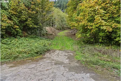 E State Route 4, Cathlamet, WA 98612 - Photo 11