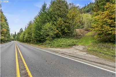 E State Route 4, Cathlamet, WA 98612 - Photo 3