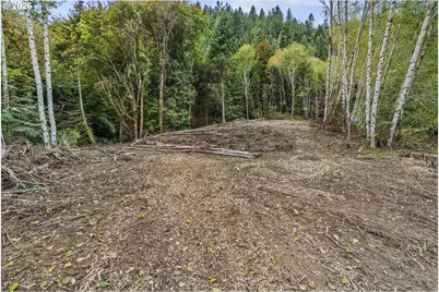 E State Route 4, Cathlamet, WA 98612 - Photo 17