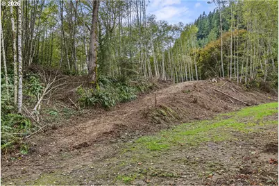 E State Route 4, Cathlamet, WA 98612 - Photo 13