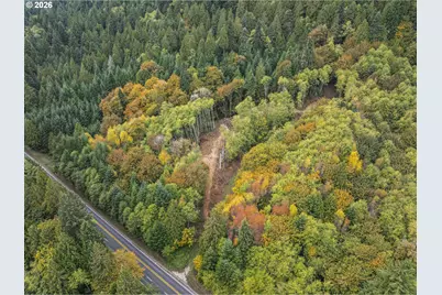 E State Route 4, Cathlamet, WA 98612 - Photo 5