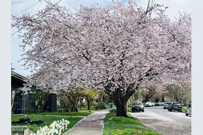 4124 SE Ash St, Portland, OR 97214 - Photo 45