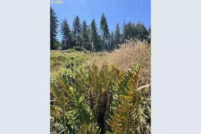 000 Fawn Ln #1405, Coos Bay, OR 97420 - Photo 37