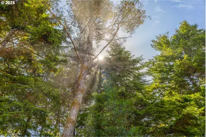 88627 Weiss Estates Ln, Bandon, OR 97411 - Photo 33