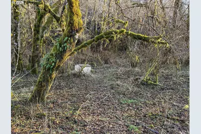 65586 Nehalem Hwy, Vernonia, OR 97064 - Photo 37
