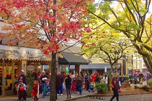 2311 SW 6th Ave, Camas, WA 98607 - Photo 43