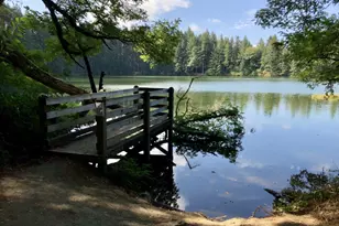 2311 SW 6th Ave, Camas, WA 98607 - Photo 45