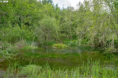 25715 NW Dodson Rd, Yamhill, OR 97148 - Photo 45