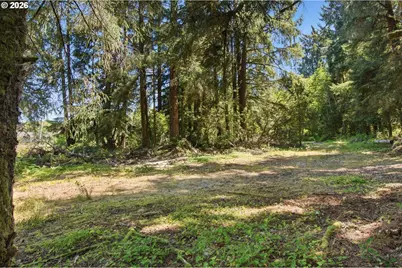 9905 Sandridge Rd, Long Beach, WA 98631 - Photo 9