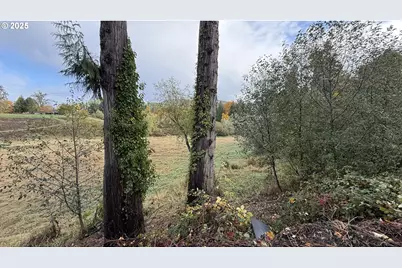 2701 Allen St, Kelso, WA 98626 - Photo 9