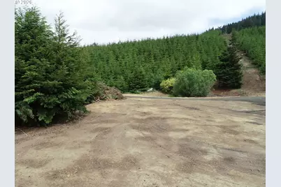 Bear Creek, Bandon, OR 97411 - Photo 13
