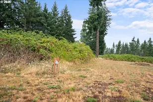 34640 S Ellis Rd, Molalla, OR 97038 - Photo 33