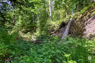 23380 SE Howlett Rd, Eagle Creek, OR 97022 - Photo 41