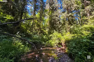 23380 SE Howlett Rd, Eagle Creek, OR 97022 - Photo 43