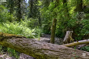 23380 SE Howlett Rd, Eagle Creek, OR 97022 - Photo 41