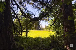 23380 SE Howlett Rd, Eagle Creek, OR 97022 - Photo 39