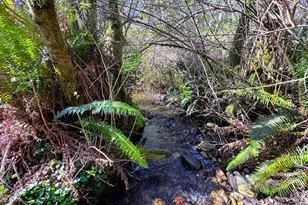 96510 Martin Ranch Rd, Brookings, OR 97415 - Photo 43