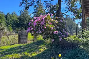 96510 Martin Ranch Rd, Brookings, OR 97415 - Photo 43