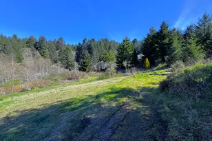 96510 Martin Ranch Rd, Brookings, OR 97415 - Photo 5
