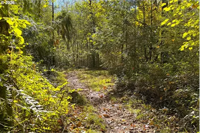 64911 E Sandy River Ln, Rhododendron, OR 97049 - Photo 27