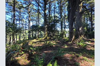 42371 Parkwood Dr, Port Orford, OR 97465 - Photo 27