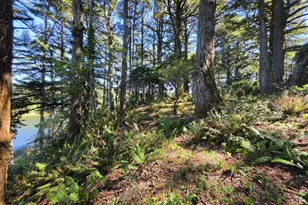 42371 Parkwood Dr, Port Orford, OR 97465 - Photo 29