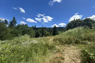 21095 SW Old Pacific Hwy, Sherwood, OR 97140 - Photo 35