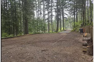 100 E Osprey Ln, Detroit, OR 97342 - Photo 23