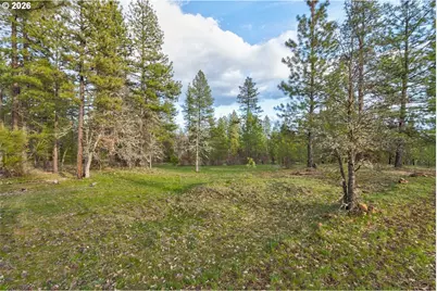 0 Lot 15 Greyback Mt Rd, Goldendale, WA 98620 - Photo 5