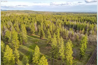 0 Lot 15 Greyback Mt Rd, Goldendale, WA 98620 - Photo 1