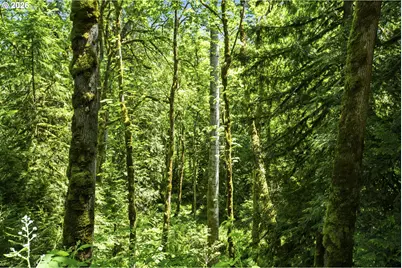 Lewisville Hwy, Yacolt, WA 98675 - Photo 9