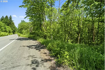 Lewisville Hwy, Yacolt, WA 98675 - Photo 7