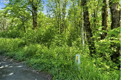 Lewisville Hwy, Yacolt, WA 98675 - Photo 5