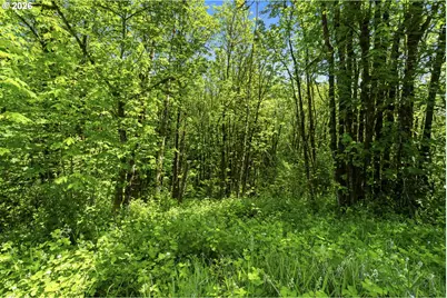 Lewisville Hwy, Yacolt, WA 98675 - Photo 11