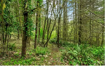 89879 Sheffler Rd, Elmira, OR 97437 - Photo 37