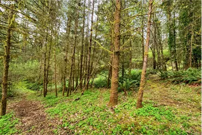 89879 Sheffler Rd, Elmira, OR 97437 - Photo 5