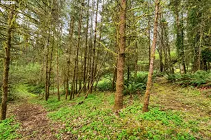 89879 Sheffler Rd, Elmira, OR 97437 - Photo 5