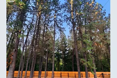 1760 Placer Rd, Wolf Creek, OR 97497 - Photo 3