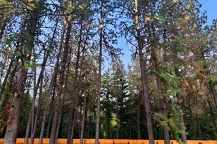 1760 Placer Rd, Wolf Creek, OR 97497 - Photo 3