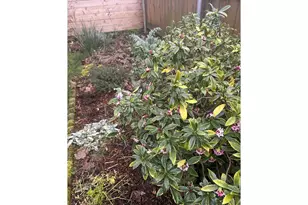 11825 SE Ankeny St, Portland, OR 97216 - Photo 33