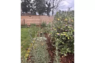 11825 SE Ankeny St, Portland, OR 97216 - Photo 35