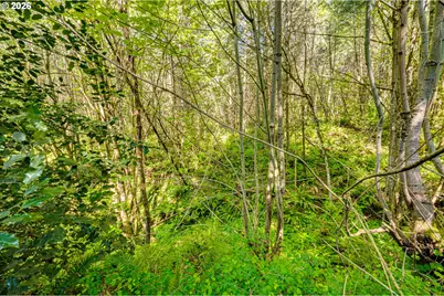 229 Prospect Rd, Woodland, WA 98674 - Photo 43