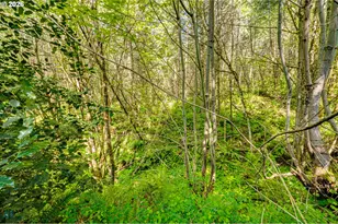 229 Prospect Rd, Woodland, WA 98674 - Photo 43