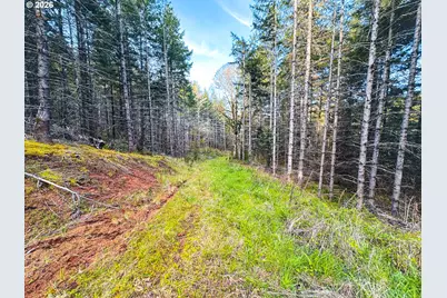 Liberty Rd #TL100, Dallas, OR 97338 - Photo 47