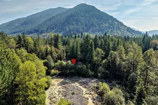 23797 E Lolo Pass Rd, Rhododendron, OR 97049 - Photo 3